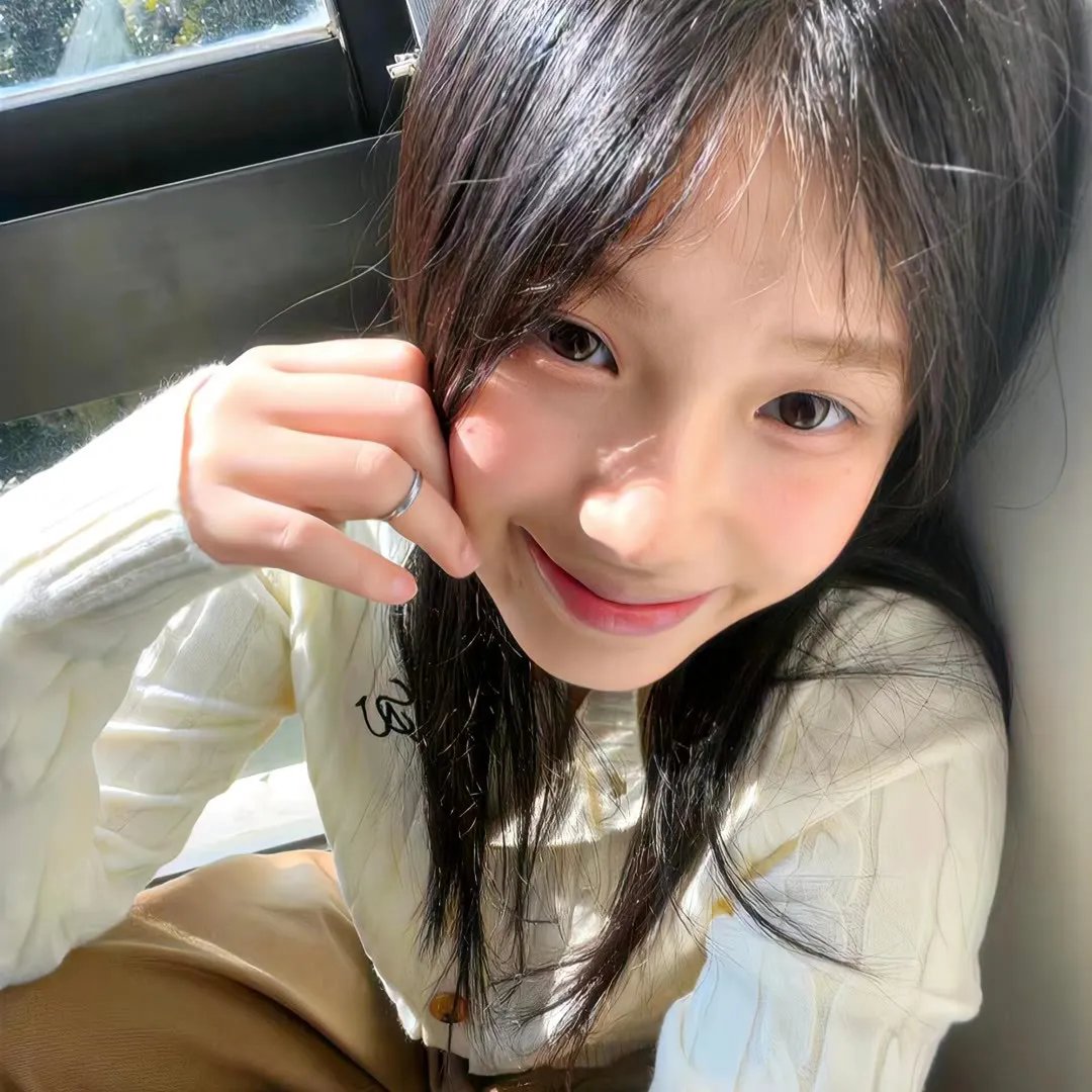 森林里的熊先生