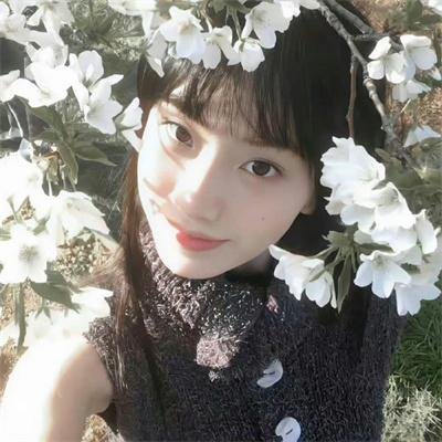 公子倾城